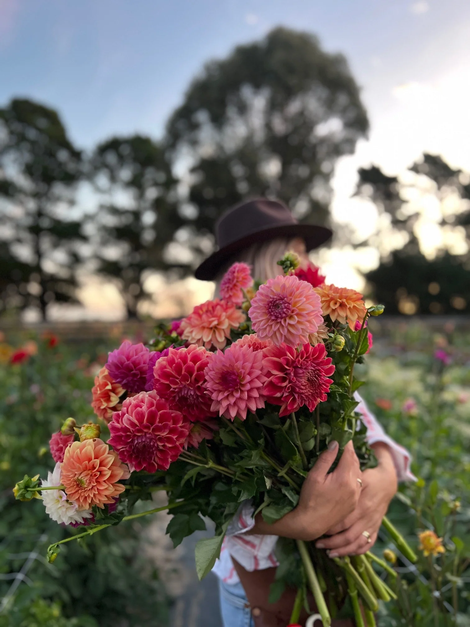 Bring Nature's Beauty Home